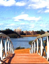 University of East Anglia